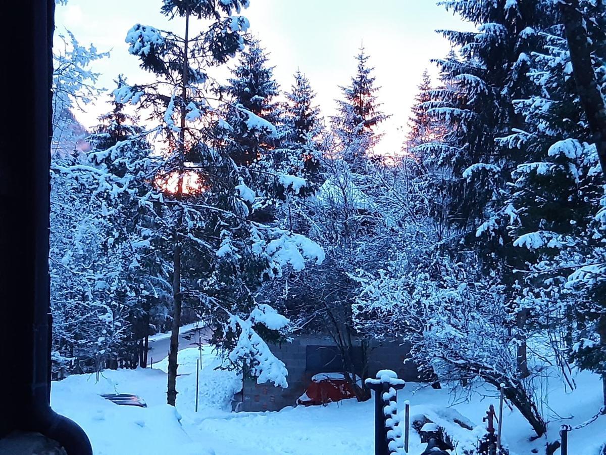 Ferienhaus Blommers Palfau Buitenkant foto