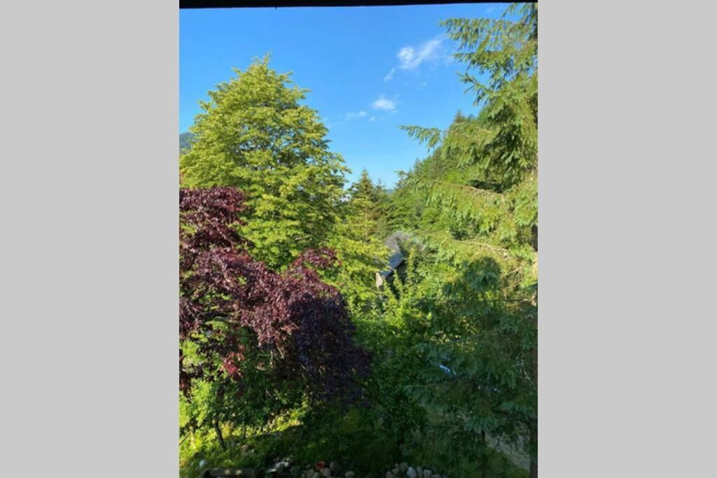 Ferienhaus Blommers Palfau Buitenkant foto